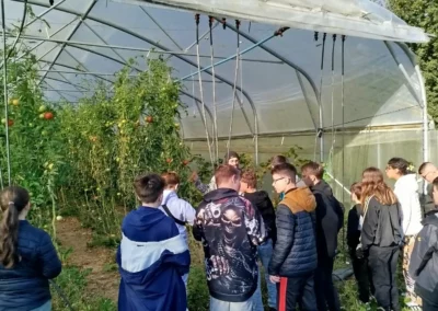 sortie scolaire chez les maraîchers